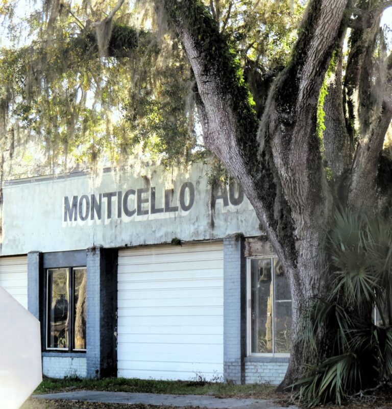 Historic Monticello storefront beneath a live oak