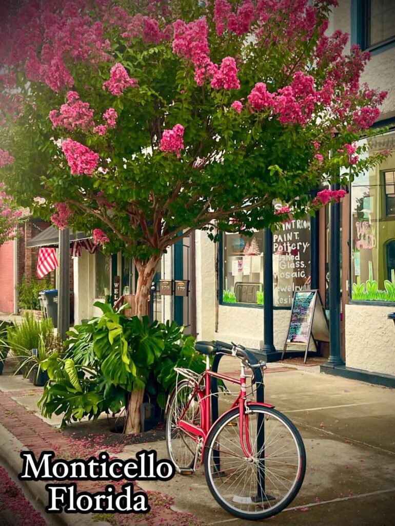 Downtown Monticello storefronts with a blooming crepe myrtle tree and a red bicycle